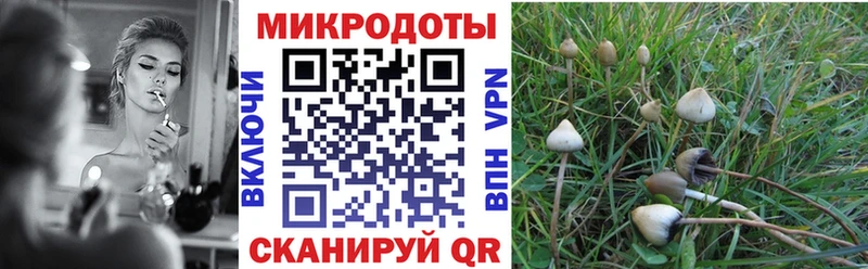 Псилоцибиновые грибы прущие грибы наркошоп MEGA сайт Златоуст