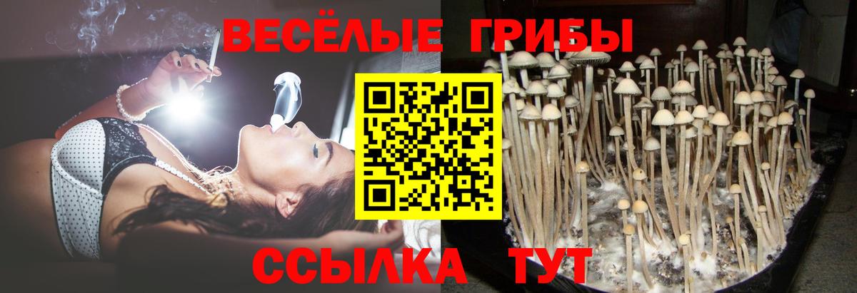 Златоуст  Галлюциногенные грибы прущие грибы  Вход с VPN  Псилоцибиновые грибы мухоморы 